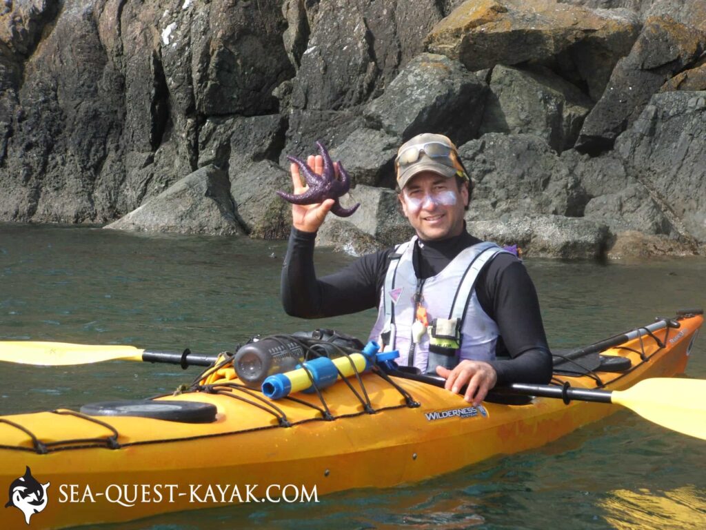 A kayaker holding a starfish smiling for the camera with rocky cliffs in the background