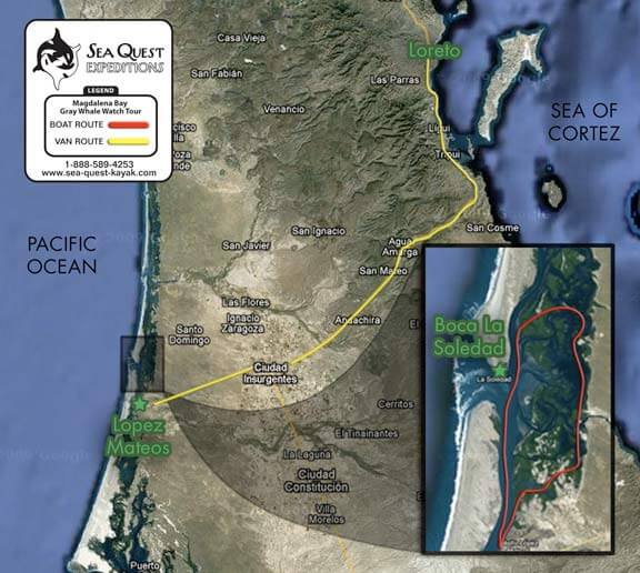 Baja Sea Kayaking Trip Routes & Tour Map: Gray Whale Lagoons of Mexico