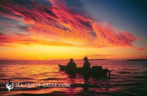 Sea Kayaking at Sunrise   Kayak Tours for Families  Seniors