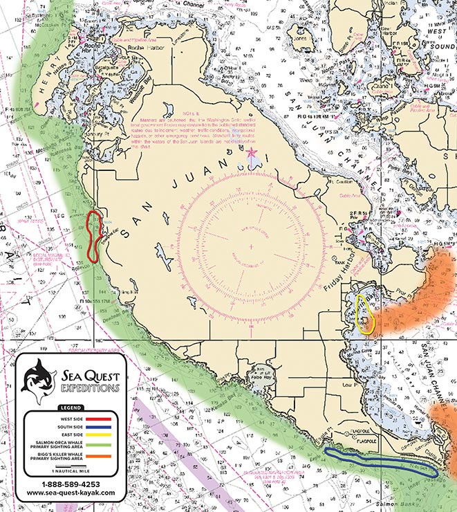 Half-Day Morning/Sunset San Juan Island Kayak Trip Map