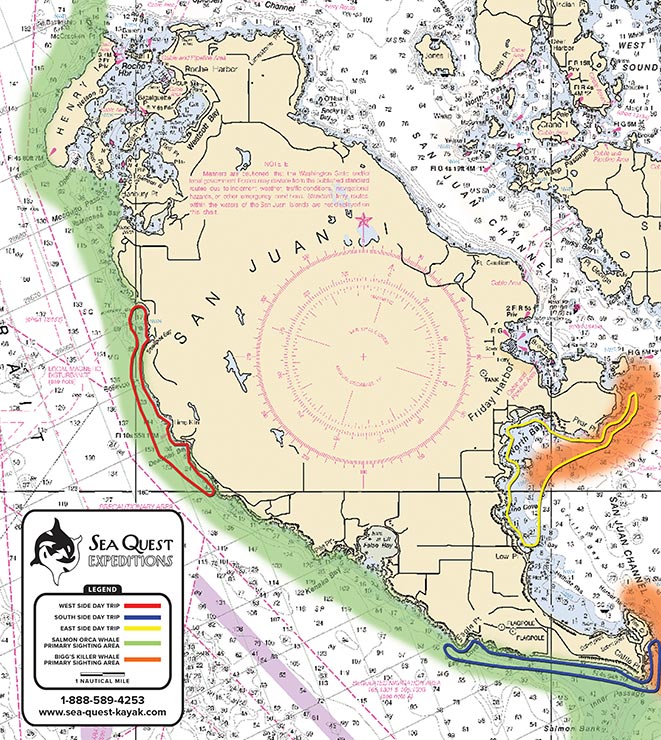 One-Day Afternoon San Juan Island Kayak Trips Map | Sea Quest Kayak Tours One-Day Afternoon San Juan Island Kayak Trips Map