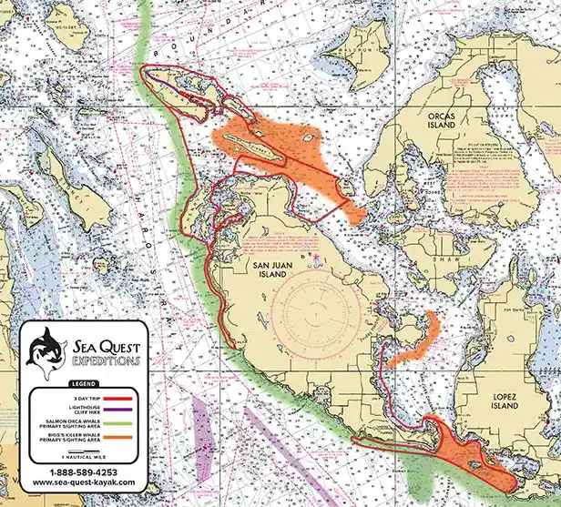 Three Day Kayak Trips San Juan Islands: Kayaking with Orca Whales 1 A nautical map of the San Juan Islands, highlighting various kayaking routes marked in different colors, with the Sea Quest Expeditions logo and contact information.
