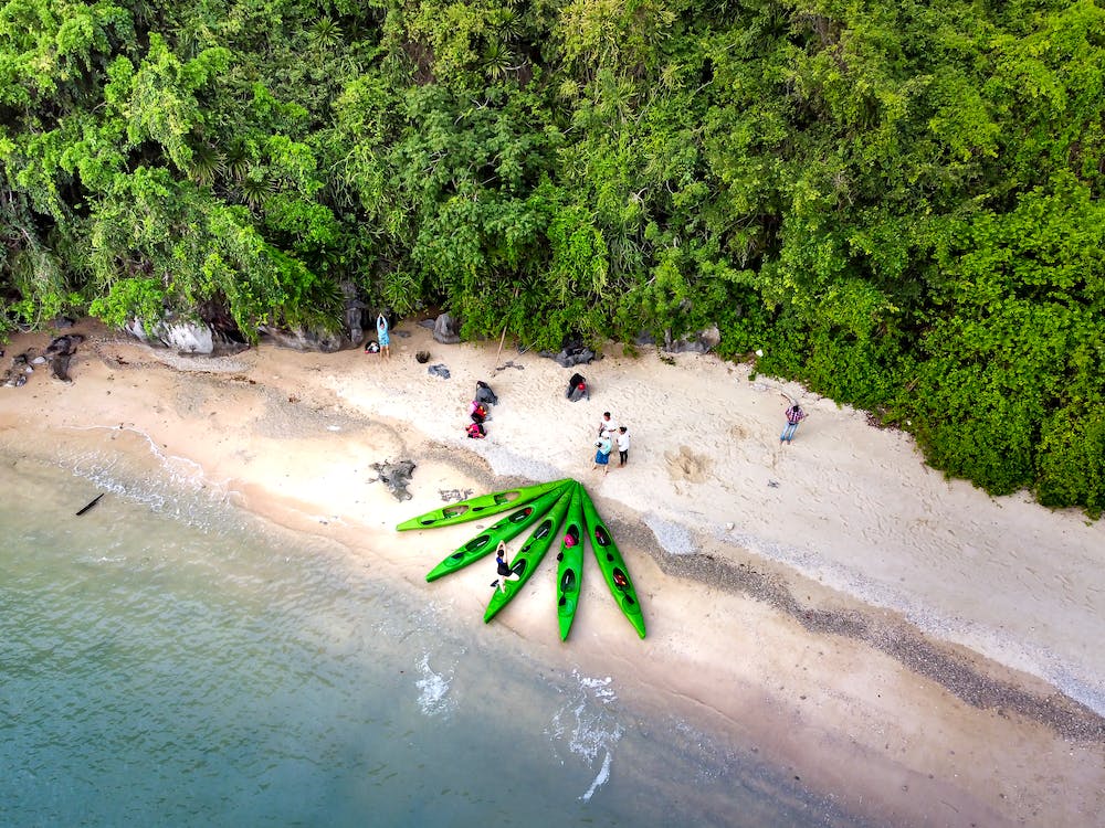 kayaking-costa-rica-2 | Sea Quest Kayak Tours Aerial view of a beach with green kayaks lined up on the shore, surrounded by dense green foliage and a few people standing and sitting on the sand.
