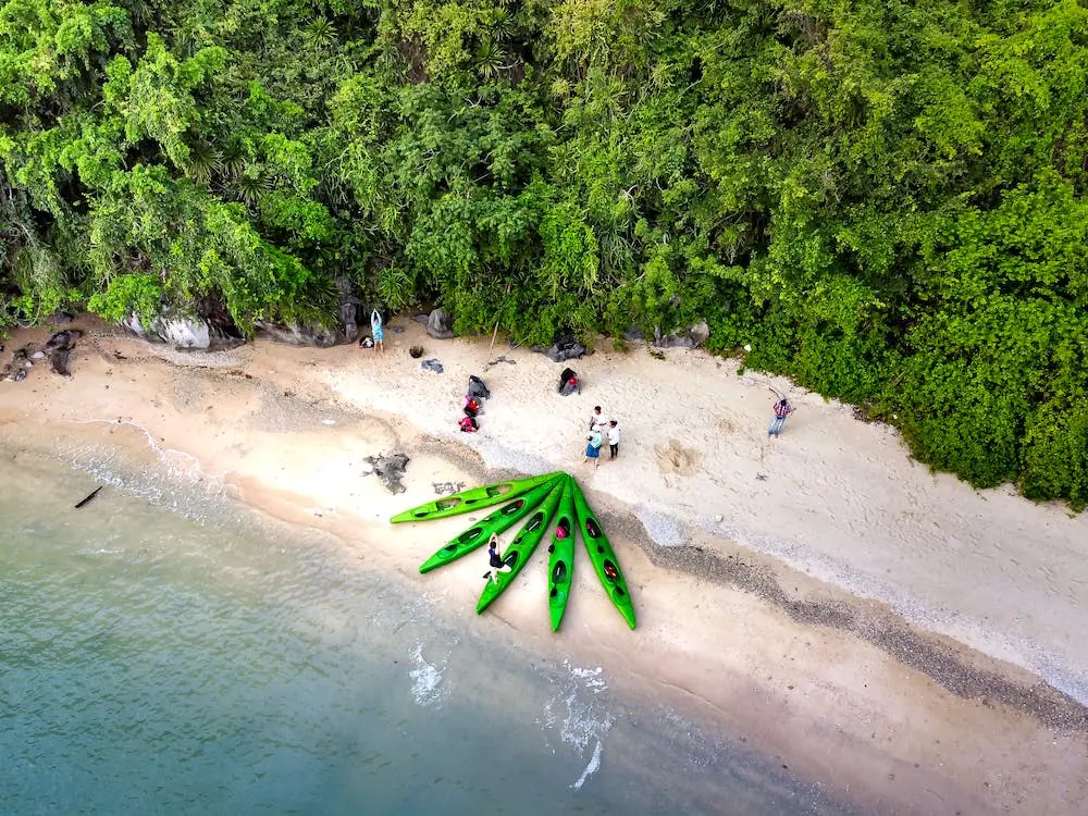 Aerial view of a beach with green kayaks lined up on the shore surrounded by dense green foliage and a few people standing and sitting on the sand