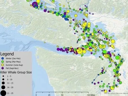 Orcas live map