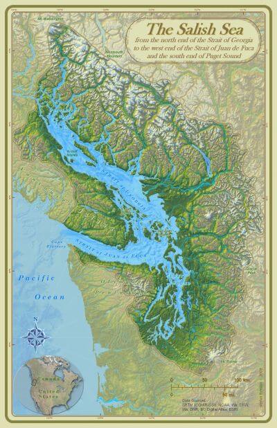 Salish-Sea-2 | Sea Quest Kayak Tours