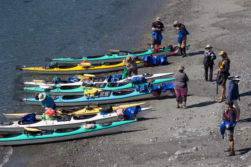 Announcing New Online Reservation System for Sea Quest Guests 4 tour online reservation system