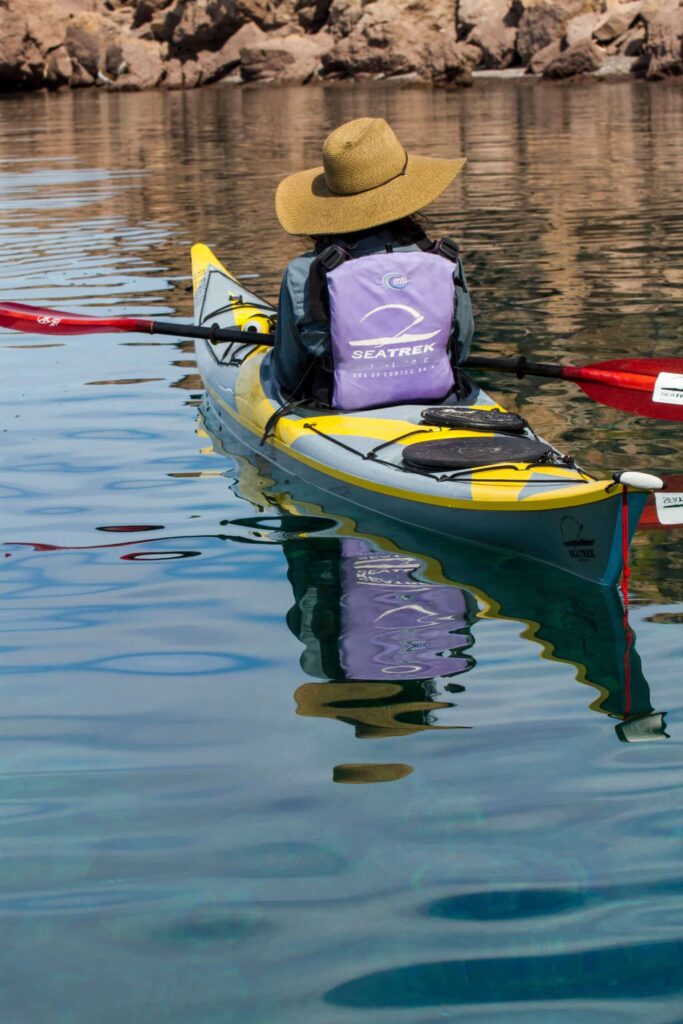 kayak whale watching San Juan Islands