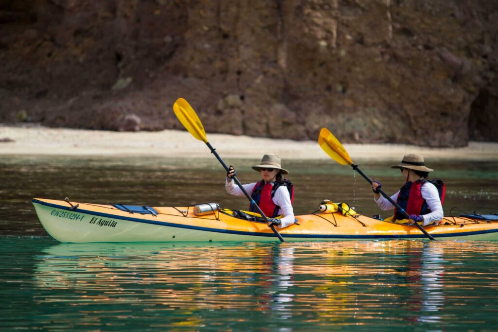 kayak whale watching San Juan Islands