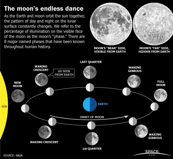 how to read lunar calendar best bioluminescence kayak tour