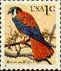 A vintage USA 1-cent postage stamp featuring a colorful parrot perched on a branch.