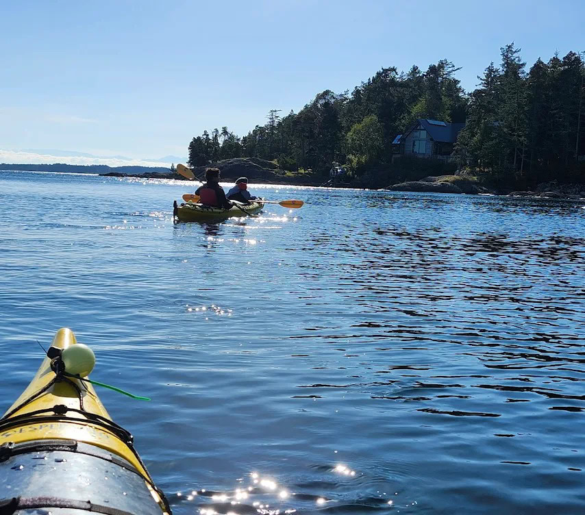 Three people in two yellow kayaks paddle on calm blue water near a forested shoreline, enjoying a peaceful kayak tour with a house visible among the trees under a clear sky.