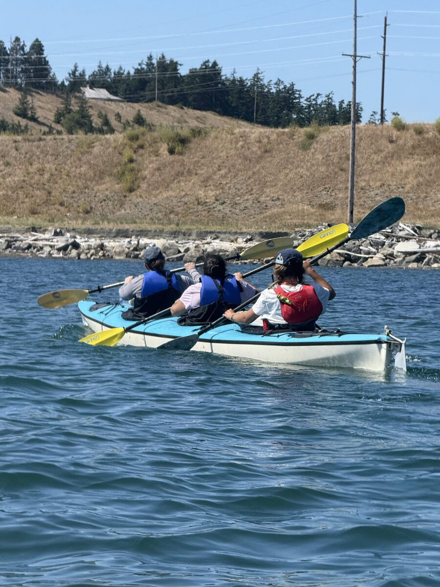 Four people paddle a tandem kayak on a calm body of water near grassy land and power lines, enjoying one of the scenic Kayak Tours Seattle has to offer.