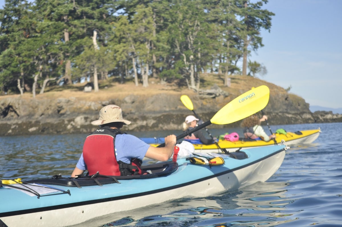 Three people kayak on calm water near a tree-covered rocky shoreline under clear skies, enjoying an ideal spot for kayak whale watching.