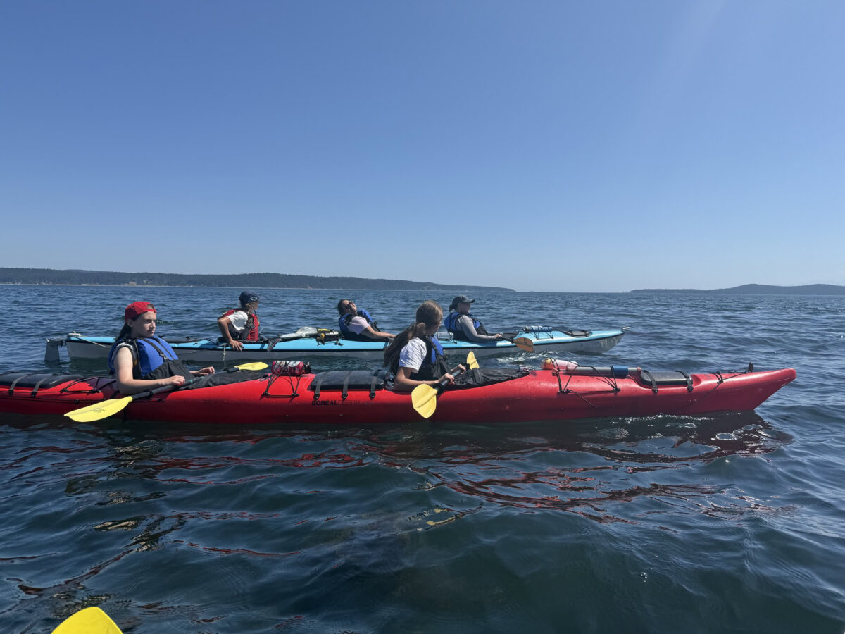Guided Kayak Tours in the San Juan Islands 3 Five people in life jackets paddle kayaks on calm blue water under a clear sky, with distant land visible on the horizon during guided kayak tours.