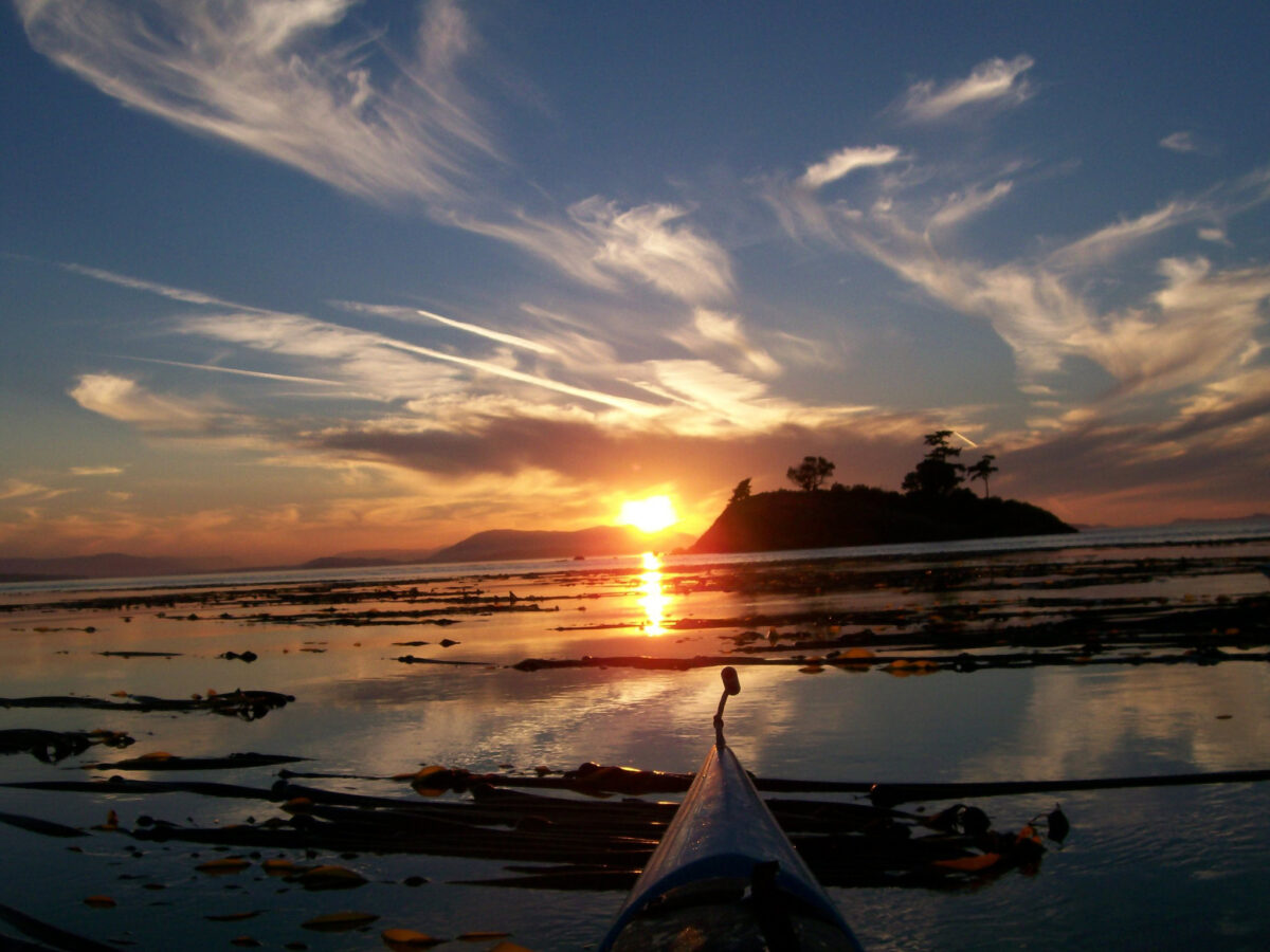 A kayak glides on calm water toward a small island at sunset during a serene Kayak Tour, with clouds streaking across the sky and kelp floating on the surface.
