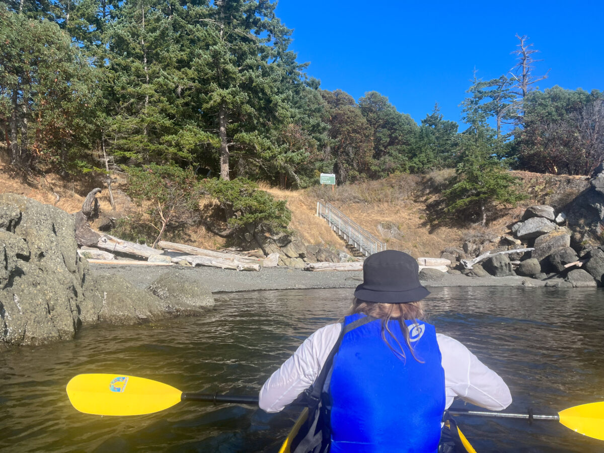 A person in a blue life jacket paddles a yellow kayak toward a rocky Washington shoreline with trees, driftwood, and a stairway—perfect scenery for Washington kayaking.