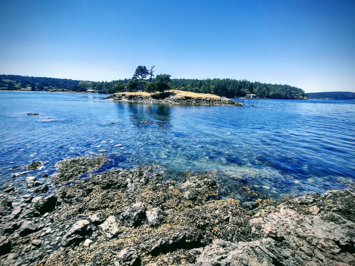 Rocky shoreline with clear blue water in the foreground, perfect for Kayaking Tours in Seattle, and a small, tree-covered island and forested background under a clear sky.