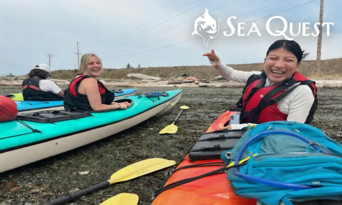 People kayaking on a rocky shore.