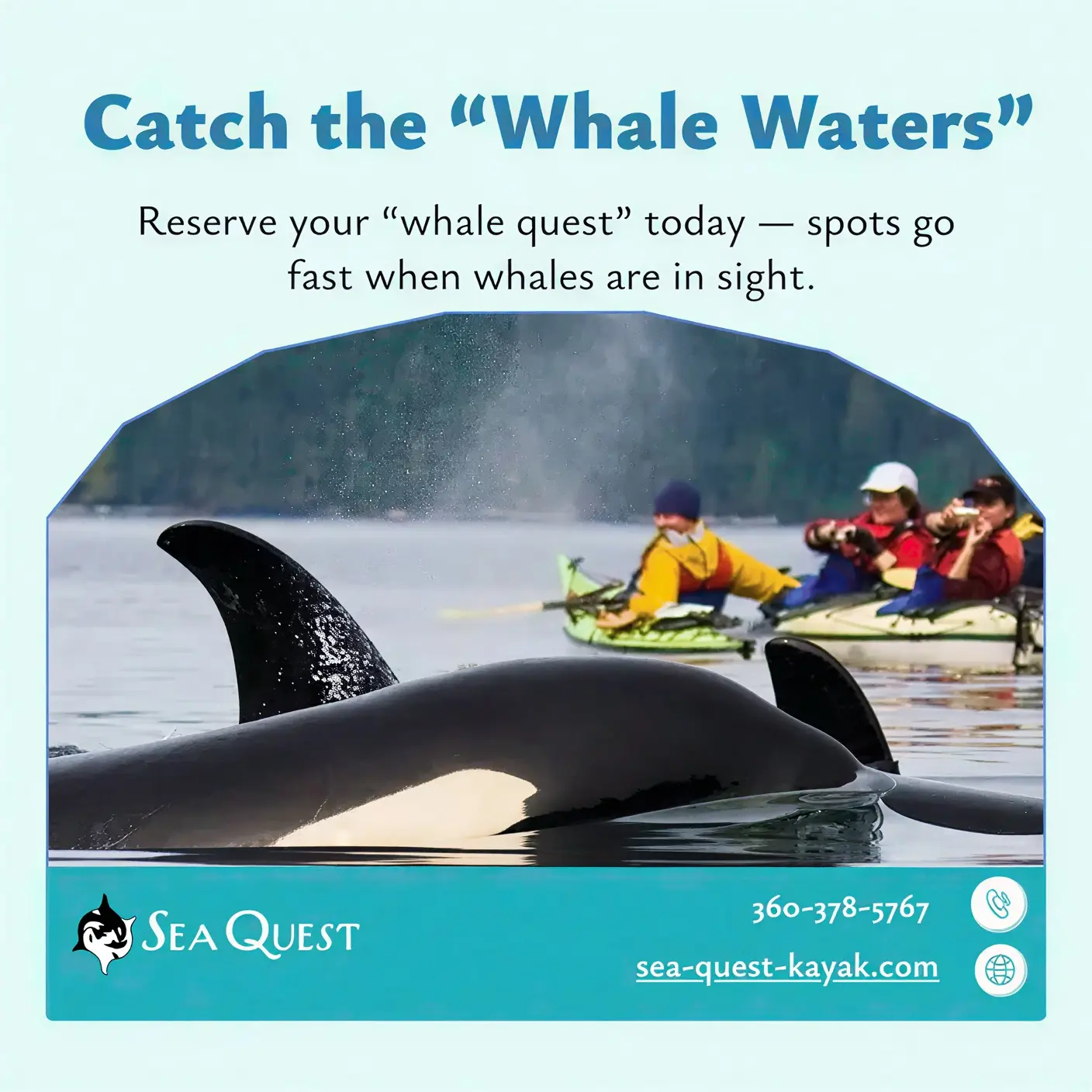 Kayakers paddling near orca whales on a kayak tour in the San Juan Islands