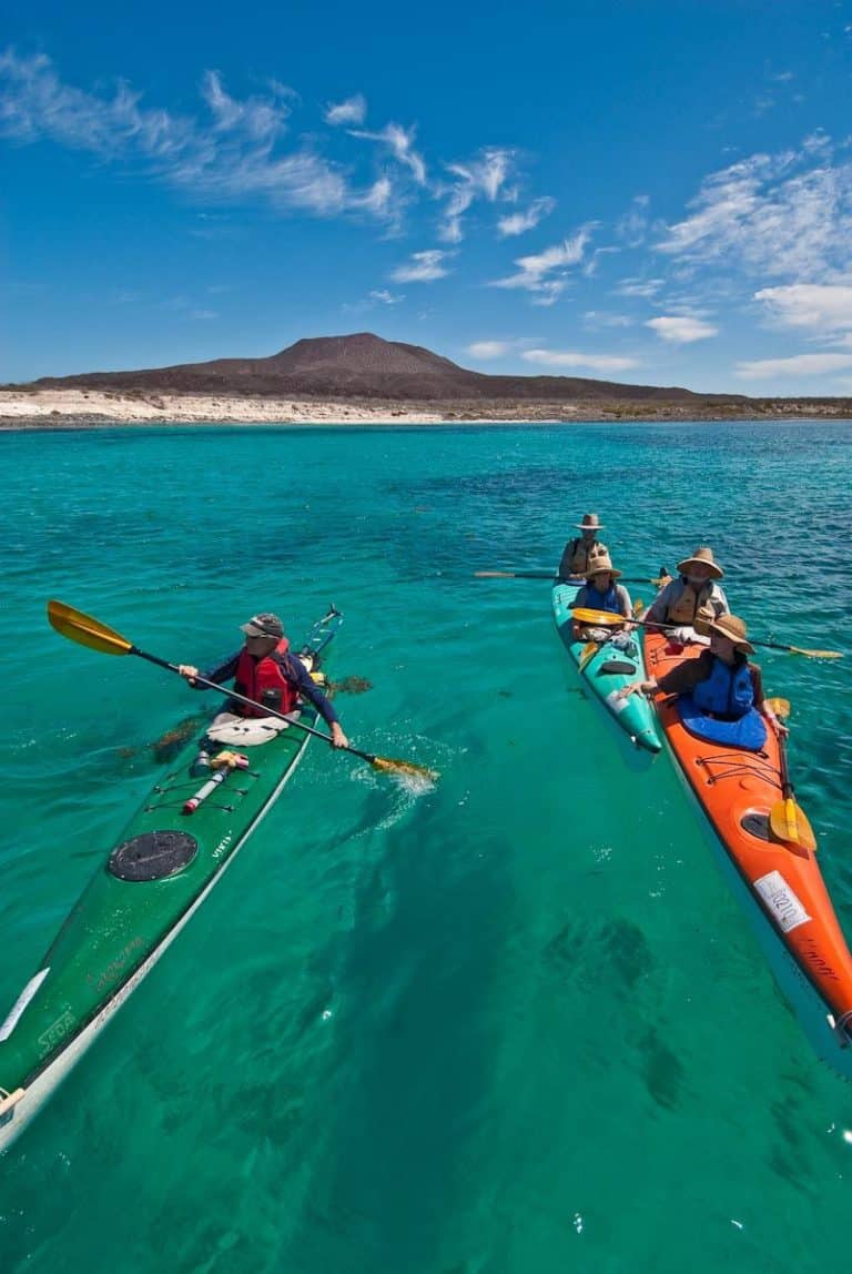 whale watching expeditions by kayak in baja
