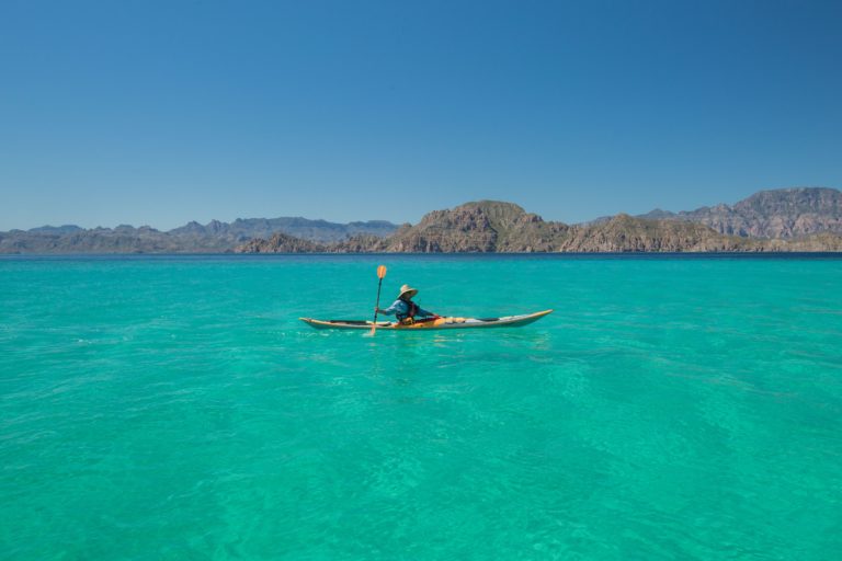 whale watching in baja lagoons from a kayak